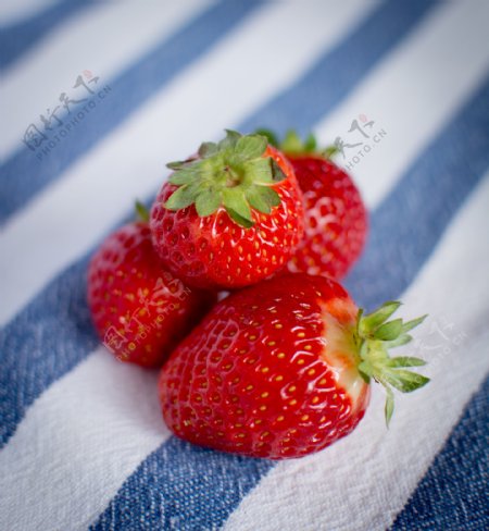 鲜草莓图片