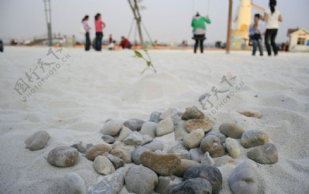 沙子里的石头图片