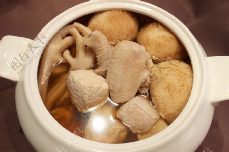 猴头菇炖鸡图片