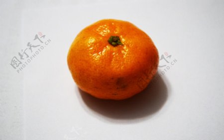 小橘子图片