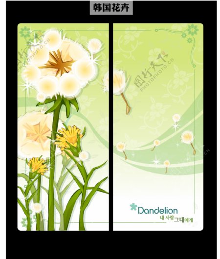 韩国花卉移门图片