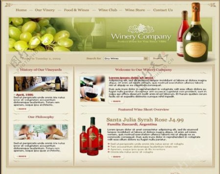 美酒网站模板图片