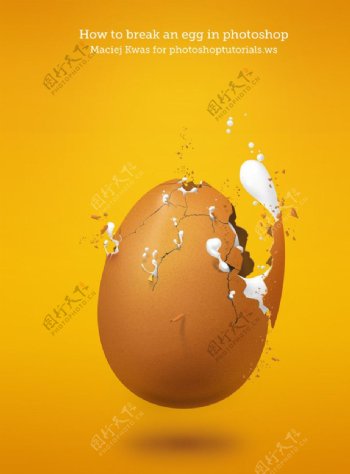 高清鸡蛋图片