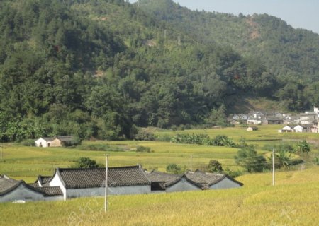 田园风光图片