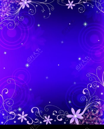 紫色情缘图片