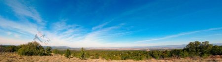 卡森国家森林公园新墨西哥州图片