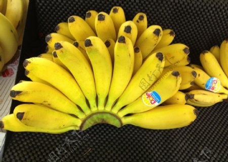 皇帝蕉香蕉图片
