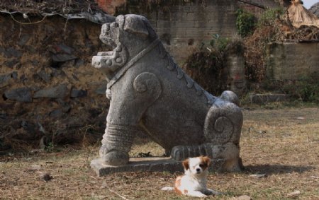小狗与雕塑图片