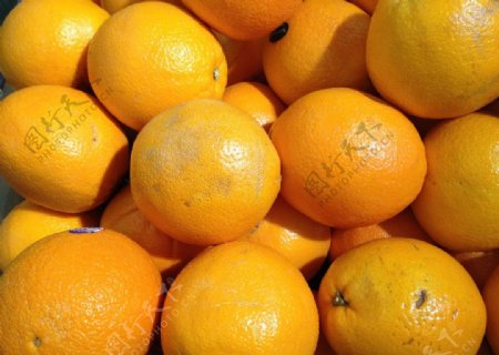 橙鲜橙图片