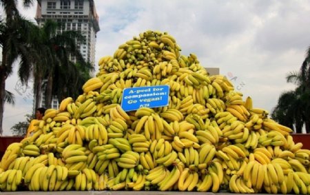一大堆香蕉图片