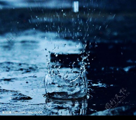 雨滴图片