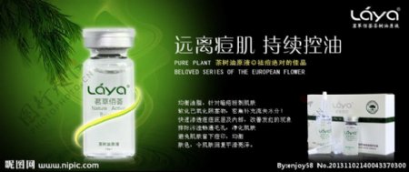 茶树油原液高清广告图图片