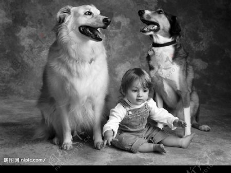 人与狗黑白写真1图片