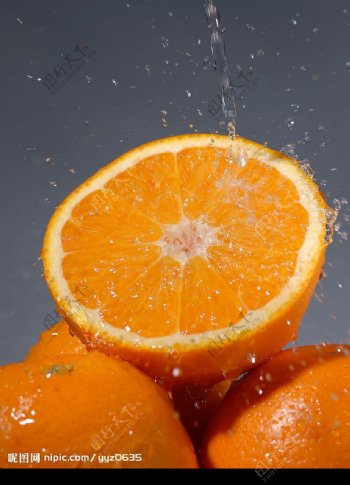水中橙子图片