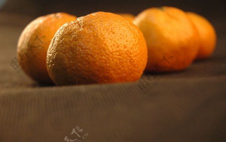 高贵的橘子图片