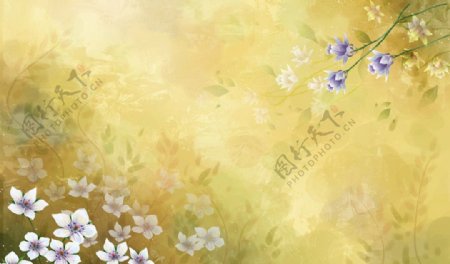 兰花树枝花瓣花朵梦幻植物黄色图片