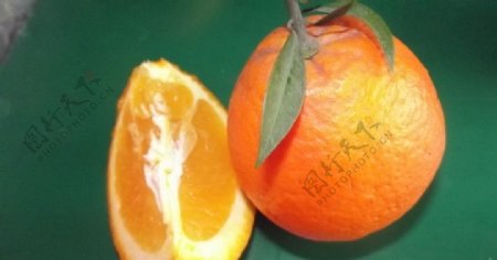 香橙橙子图片