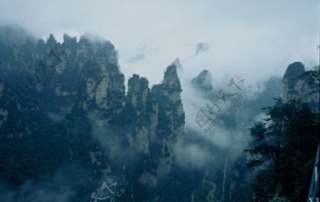 雨雾中的张家界峰林图片