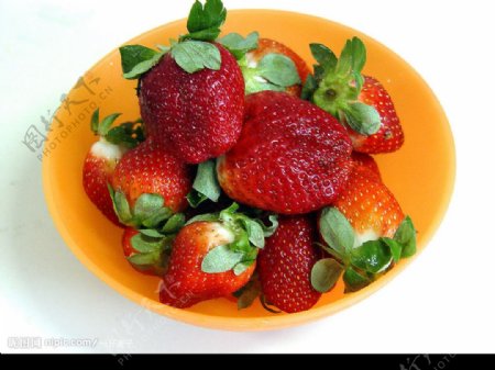 水果草莓图片