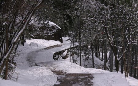 雪中的山路图片