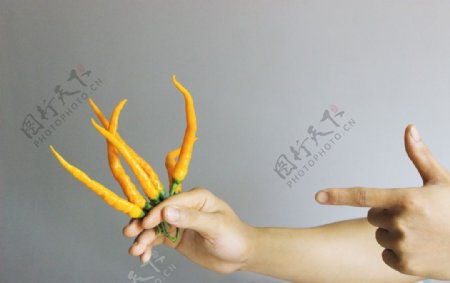 衡东土菜的灵魂黄贡椒图片