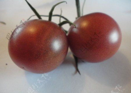 紫番茄图片