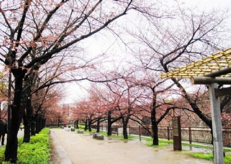 日本大阪城公园图片