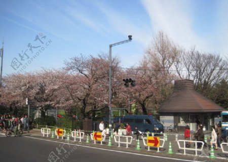 日本东京街景图片