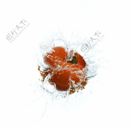 落水西红柿图片