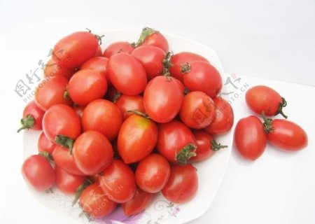 圣女果小番茄图片