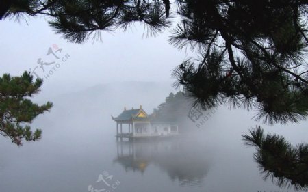 如琴湖图片