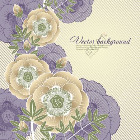 紫色花卉底纹背景图片