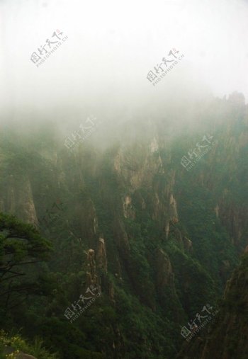 雨雾黄山图片