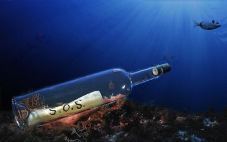 瓶子海底图片