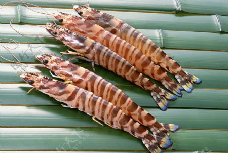 竹折虾游水海鲜图片