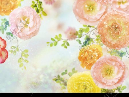 夢幻花卉背景图片