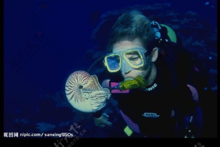 海底动物与潜水员图片