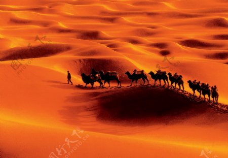 塔克拉玛干沙漠一隅图片