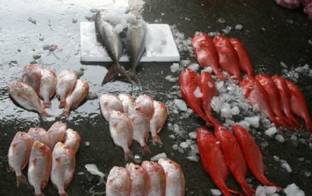 台湾南方澳渔港图片