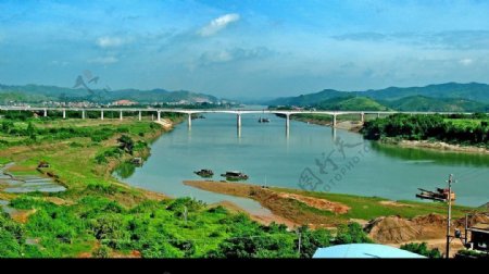 梧州桂江特大桥图片