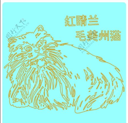 可爱的手绘猫咪图片