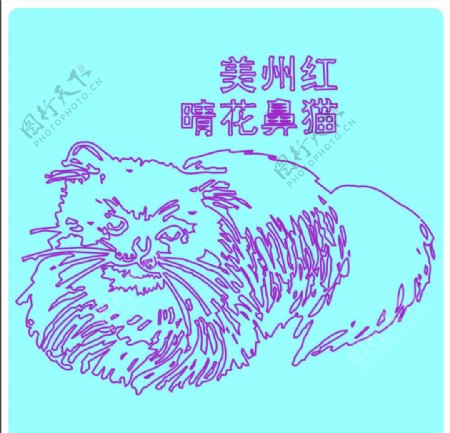 可爱的手绘猫咪图片