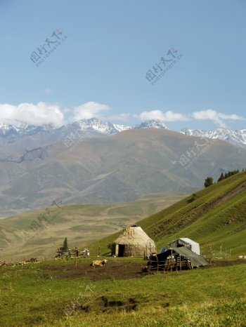 新疆那拉提草原图片