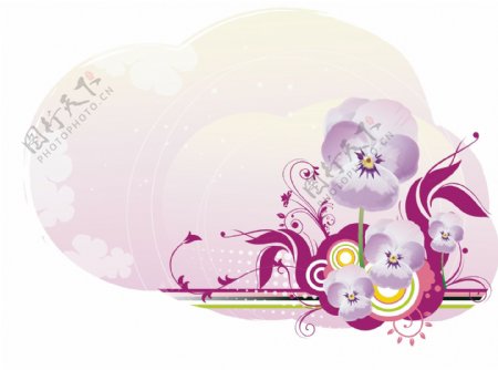 时尚蝴蝶兰鲜花矢量边框背景图片