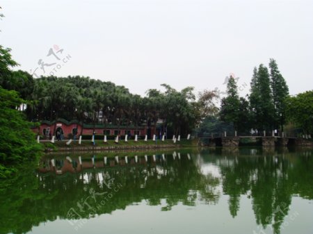 逸仙湖公园4图片