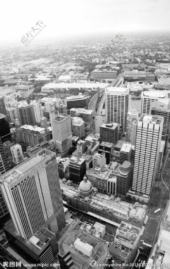 悉尼城市图片
