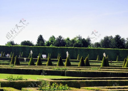 凡尔赛宫的花园图片