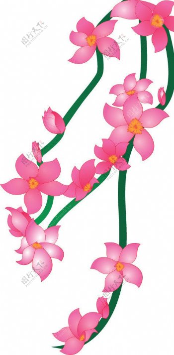 紫荆花矢量图图片