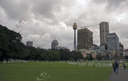 悉尼市区风景图片