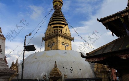 尼泊尔猴庙图片